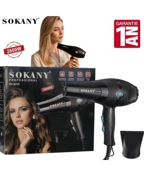 Sèche-Cheveux Professionnel...