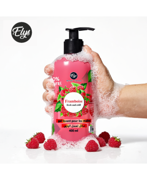 Gel Lavant pour les Mains ELYS – Framboise – 400 ml (Carton de 12 pièces + 1 gratuite)