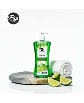 Gel Lavant pour les Mains ELYS – Citron Vert – 1 Litre (Carton de 12 pièces + 1 gratuite)