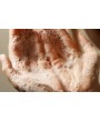 Gel Lavant Mains