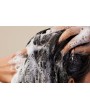 Shampoing